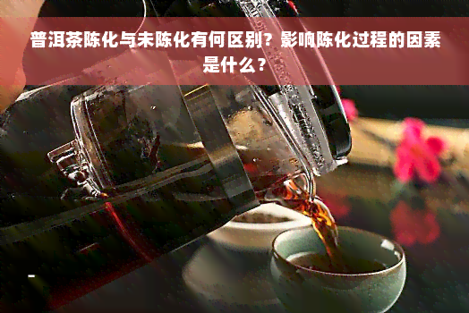 普洱茶陈化与未陈化有何区别？影响陈化过程的因素是什么？