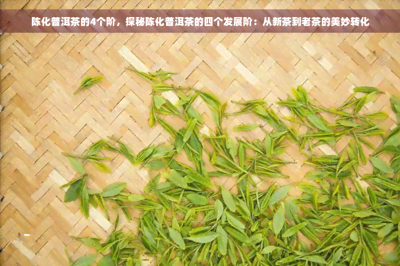 陈化普洱茶的4个阶，探秘陈化普洱茶的四个发展阶：从新茶到老茶的美妙转化