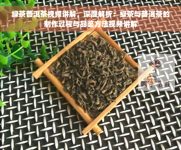 绿茶普洱茶视频讲解，深度解析：绿茶与普洱茶的制作过程与品鉴方法视频讲解