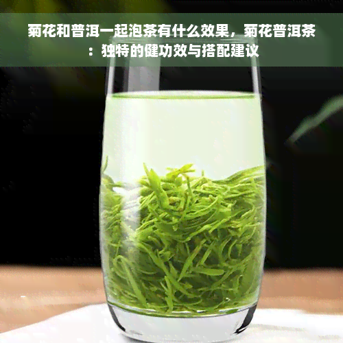 菊花和普洱一起泡茶有什么效果，菊花普洱茶：独特的健功效与搭配建议