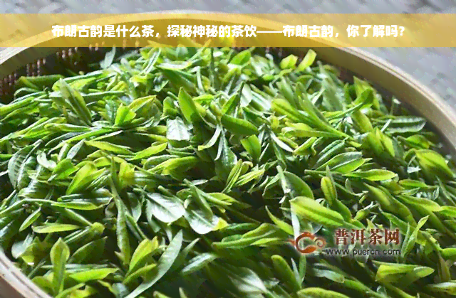 布朗古韵是什么茶，探秘神秘的茶饮——布朗古韵，你了解吗？