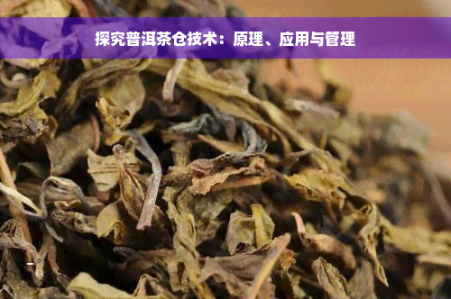 探究普洱茶仓技术：原理、应用与管理