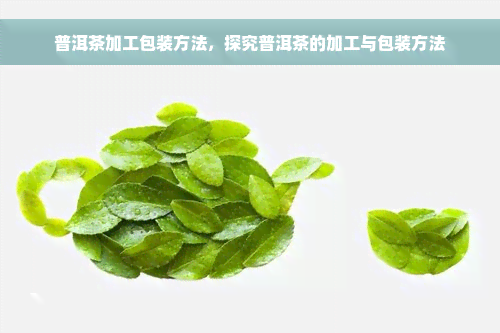 普洱茶加工包装方法，探究普洱茶的加工与包装方法