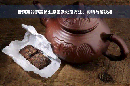 普洱茶的笋壳长虫原因及处理方法，影响与解决措