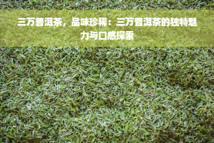 三万普洱茶，品味珍稀：三万普洱茶的独特魅力与口感探索