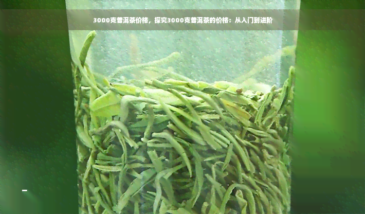 3000克普洱茶价格，探究3000克普洱茶的价格：从入门到进阶