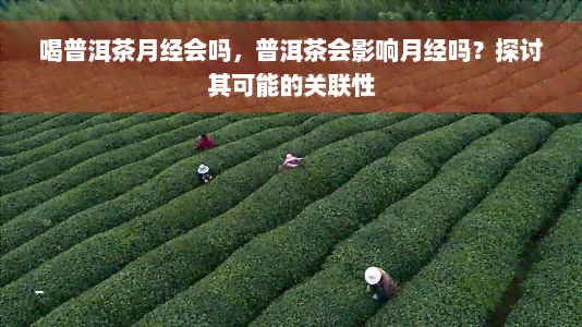 喝普洱茶月经会吗，普洱茶会影响月经吗？探讨其可能的关联性