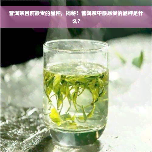 普洱茶目前最贵的品种，揭秘！普洱茶中最昂贵的品种是什么？