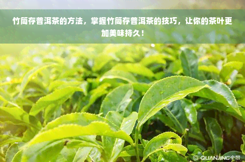 竹筒存普洱茶的方法，掌握竹筒存普洱茶的技巧，让你的茶叶更加美味持久！