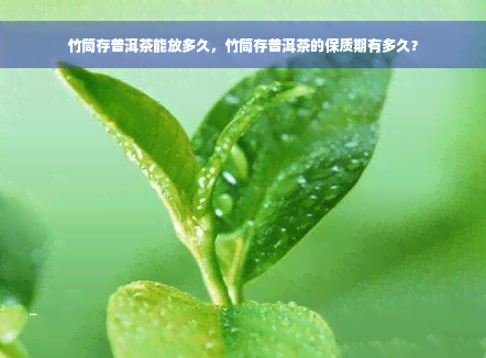 竹筒存普洱茶能放多久，竹筒存普洱茶的保质期有多久？