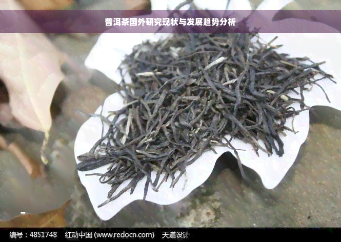 普洱茶国外研究现状与发展趋势分析