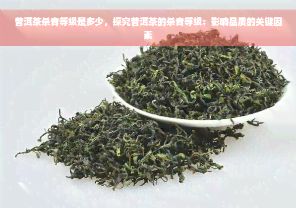 普洱茶杀青等级是多少，探究普洱茶的杀青等级：影响品质的关键因素