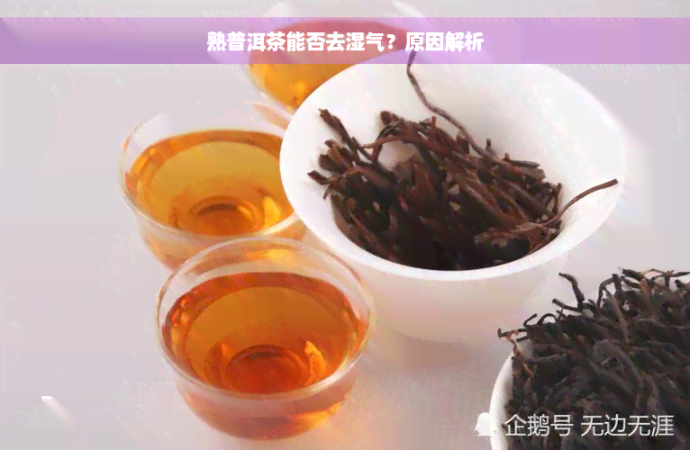 熟普洱茶能否去湿气？原因解析