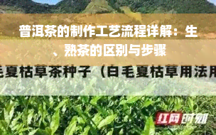 普洱茶的制作工艺流程详解：生、熟茶的区别与步骤