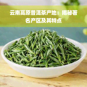 云南高原普洱茶产地：揭秘著名产区及其特点