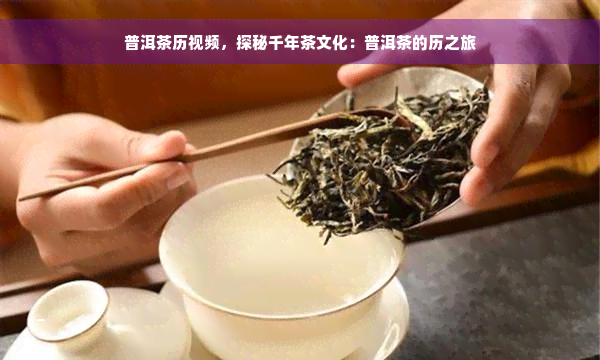 普洱茶历视频，探秘千年茶文化：普洱茶的历之旅