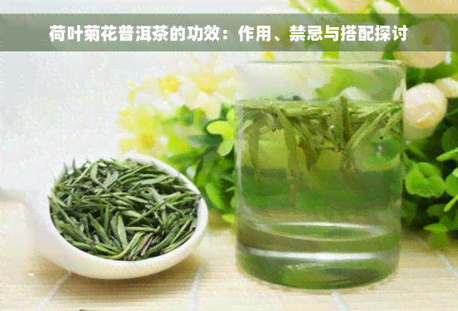 荷叶菊花普洱茶的功效：作用、禁忌与搭配探讨