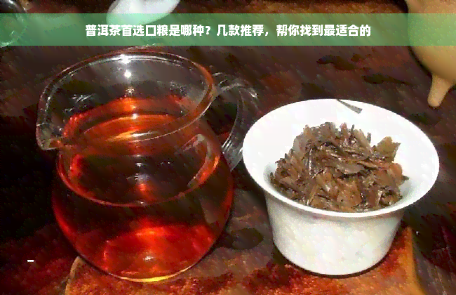 普洱茶首选口粮是哪种？几款推荐，帮你找到最适合的