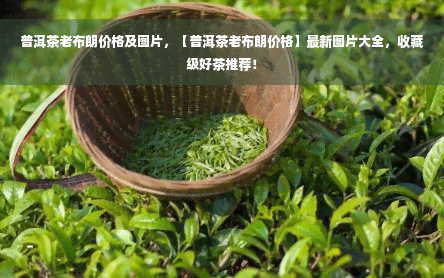 普洱茶老布朗价格及图片，【普洱茶老布朗价格】最新图片大全，收藏级好茶推荐！