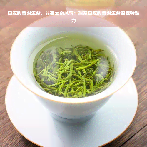 白龙牌普洱生茶，品尝云南风情：探索白龙牌普洱生茶的独特魅力