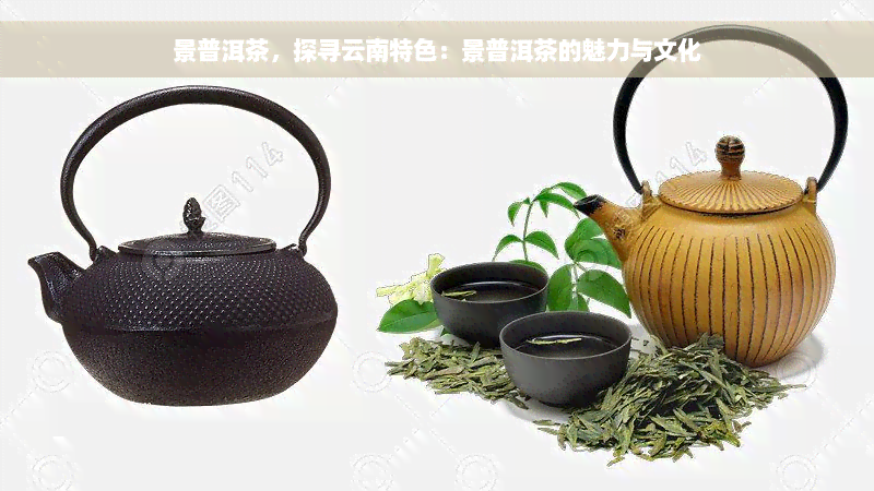 景普洱茶，探寻云南特色：景普洱茶的魅力与文化