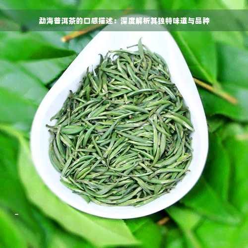勐海普洱茶的口感描述：深度解析其独特味道与品种