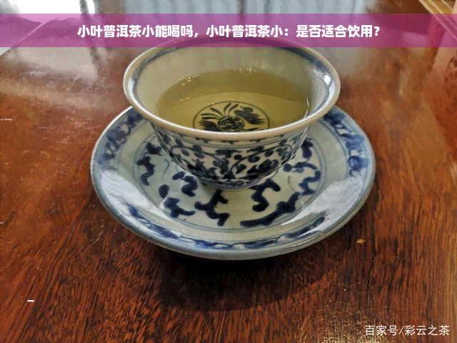 小叶普洱茶小能喝吗，小叶普洱茶小：是否适合饮用？