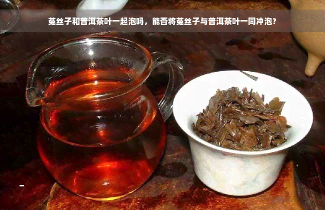 菟丝子和普洱茶叶一起泡吗，能否将菟丝子与普洱茶叶一同冲泡？