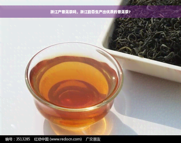 浙江产普洱茶吗，浙江能否生产出优质的普洱茶？
