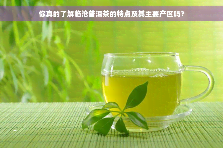 你真的了解临沧普洱茶的特点及其主要产区吗？