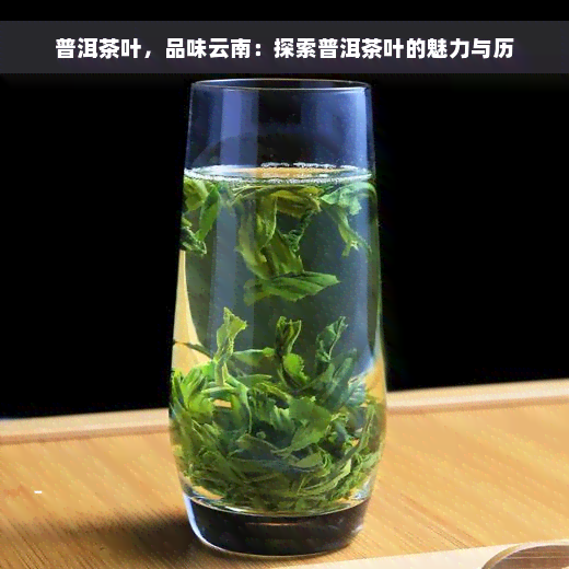 普洱茶叶，品味云南：探索普洱茶叶的魅力与历