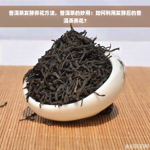 普洱茶发酵养花方法，普洱茶的妙用：如何利用发酵后的普洱茶养花？