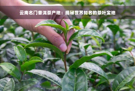 云南名门普洱茶产地：揭秘世界知名的茶叶宝地