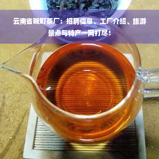云南省畹町茶厂：招聘信息、工厂介绍、旅游景点与特产一网打尽！