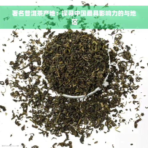 著名普洱茶产地：探寻中国更具影响力的与地区