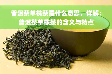 普洱茶单株茶是什么意思，详解：普洱茶单株茶的含义与特点