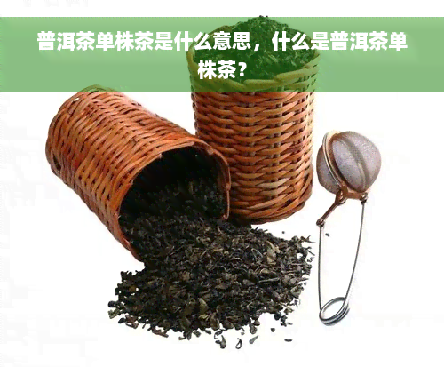 普洱茶单株茶是什么意思，什么是普洱茶单株茶？