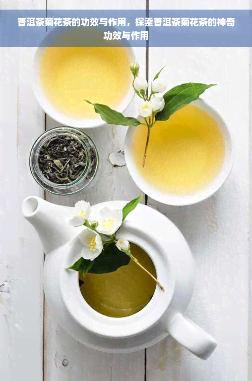 普洱茶菊花茶的功效与作用，探索普洱茶菊花茶的神奇功效与作用