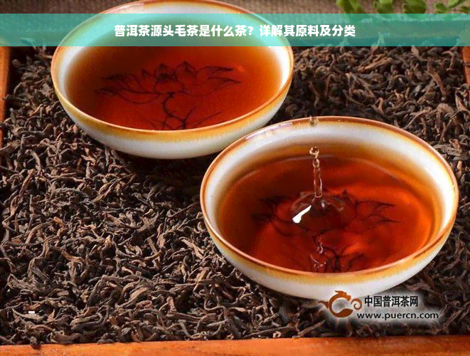 普洱茶源头毛茶是什么茶？详解其原料及分类