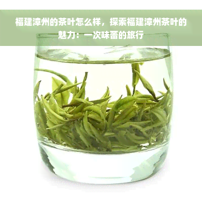 福建漳州的茶叶怎么样，探索福建漳州茶叶的魅力：一次味蕾的旅行