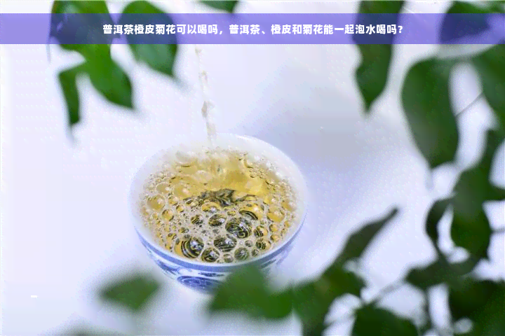 普洱茶橙皮菊花可以喝吗，普洱茶、橙皮和菊花能一起泡水喝吗？
