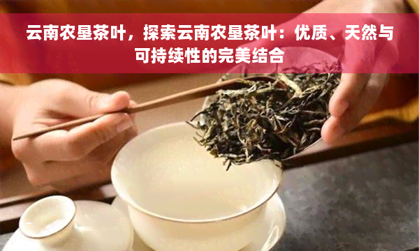 云南农垦茶叶，探索云南农垦茶叶：优质、天然与可持续性的完美结合