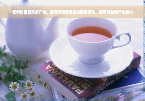 云南醇香普洱茶产地，探寻云南普洱茶的醇香源头，揭示其独特产地魅力