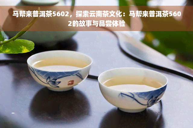 马帮来普洱茶5602，探索云南茶文化：马帮来普洱茶5602的故事与品尝体验
