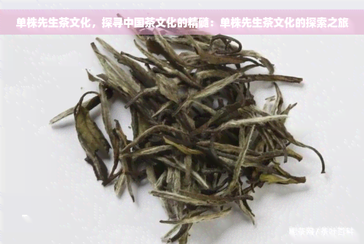 单株先生茶文化，探寻中国茶文化的精髓：单株先生茶文化的探索之旅
