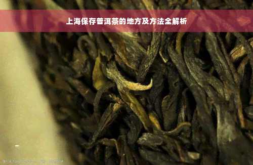 上海保存普洱茶的地方及方法全解析