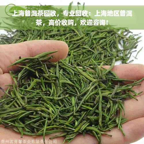 上海普洱茶回收，专业回收：上海地区普洱茶，高价收购，欢迎咨询！