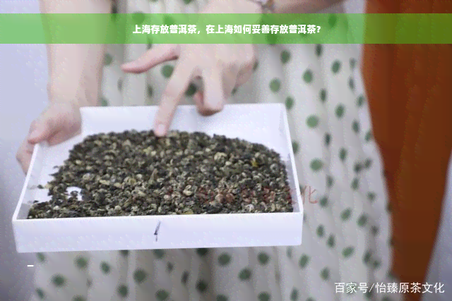 上海存放普洱茶，在上海如何妥善存放普洱茶？