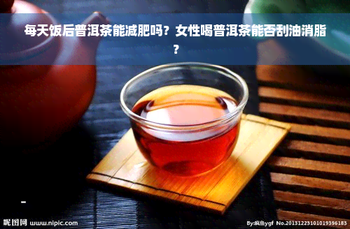 每天饭后普洱茶能减肥吗？女性喝普洱茶能否刮油消脂？