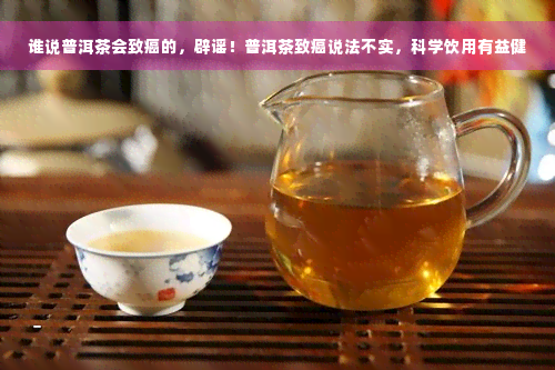 谁说普洱茶会致癌的，辟谣！普洱茶致癌说法不实，科学饮用有益健